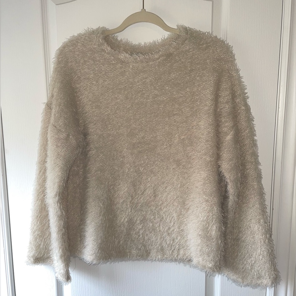 Zara Fuzzy Sweater